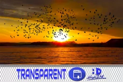 100 BIRD FLOCK TRANSPARENT PNG ANIMAL PHOTOSHOP OVERLAYS Product Image 1