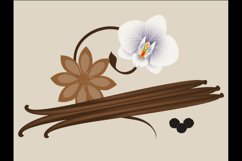 Vanilla pods and orchids and pepper on a beige background.