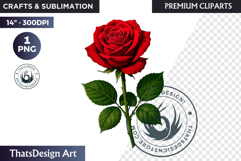 Flower Clipart PNG, Botanical Illustration Floral graphic Product Image 1