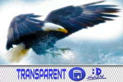 100 EAGLES TRANSPARENT PNG FILES, ANIMAL PHOTOSHOP OVERLAYS Product Image 1