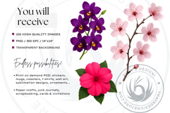 Flowers Clipart bundle, Botanical Illustrations Floral PNG Product Image 2