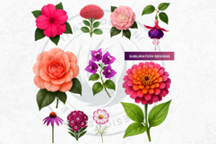 Flowers Clipart bundle, Botanical Illustrations Floral PNG Product Image 4