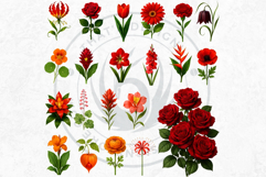 Flowers Clipart bundle, Botanical Illustrations Floral PNG Product Image 5