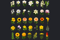 Flowers Clipart bundle, Botanical Illustrations Floral PNG Product Image 6