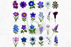 Flowers Clipart bundle, Botanical Illustrations Floral PNG Product Image 7