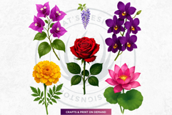 Flowers Clipart bundle, Botanical Illustrations Floral PNG Product Image 8