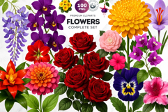 Flowers Clipart bundle, Botanical Illustrations Floral PNG Product Image 1