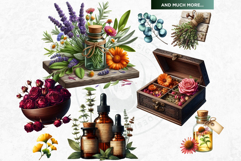 Medicinal Herbs clipart PNG Set Apothecary Botanical Graphic Product Image 10