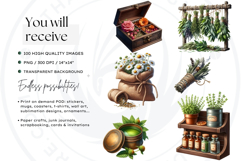 Medicinal Herbs clipart PNG Set Apothecary Botanical Graphic Product Image 2