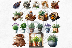 Medicinal Herbs clipart PNG Set Apothecary Botanical Graphic Product Image 5