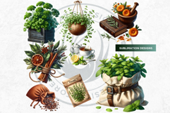 Medicinal Herbs clipart PNG Set Apothecary Botanical Graphic Product Image 6