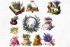 Medicinal Herbs clipart PNG Set Apothecary Botanical Graphic Product Image 8