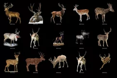 100 REINDEER & DEER TRANSPARENT PNG FILES PHOTOSHOP OVERLAYS Product Image 5