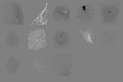 100 SPIDERS & COBWEBS TRANSPARENT PNG PHOTOSHOP OVERLAYS Product Image 5