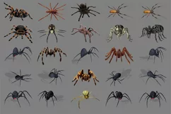 100 SPIDERS & COBWEBS TRANSPARENT PNG PHOTOSHOP OVERLAYS Product Image 4