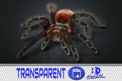 100 SPIDERS & COBWEBS TRANSPARENT PNG PHOTOSHOP OVERLAYS Product Image 1