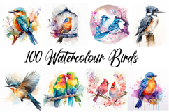 100 Watercolor Bird Illustrations Collection