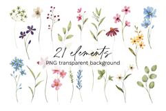 Floral watercolor set. Flowers and leaves clipart, PNG files Product Image 2