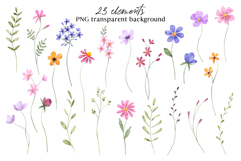 Floral watercolor set. Flowers and leaves clipart, PNG files Product Image 8
