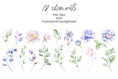 Floral watercolor set. Flowers peonies clipart, PNG files Product Image 8