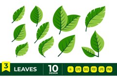 Green leaves vector bundle set Product Image 1