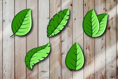 Green leaves vector bundle set Product Image 2