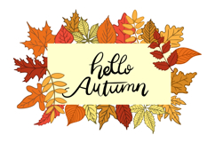 Hello Autumn Text with Colorful Fall Leaves Border Product Image 1