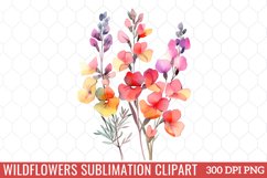Wildflowers Sublimation Clipart Product Image 1
