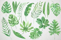 Watercolor tropical clipart. Tropical leaves clipart Product Image 2