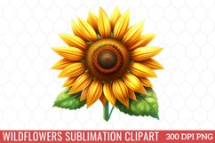 Wildflowers Sublimation Clipart Product Image 1
