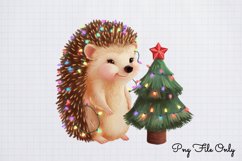 Woodland Christmas Watercolor Clipart PNG Product Image 1