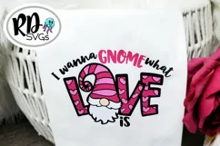 I Wanna Gnome What Love is - A Valentines Layered Cricut SVG Product Image 8