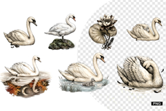 Autumn Swan Lake Clipart Product Image 1