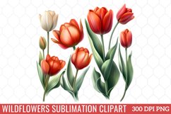 Wildflowers Sublimation Clipart Product Image 1