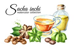 Sacha Inchi Product Image 1