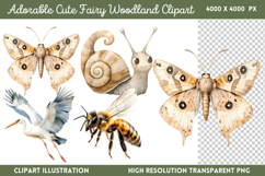 Adorable Cute Fairy Woodland Clipart PNG Product Image 1
