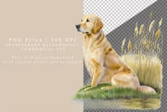 Golden retriever clipart, Dog clipart, Product Image 2
