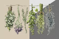 Dried herbs clipart, Herbs clipart, Farmhouse clipart Product Image 5
