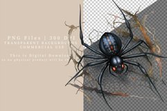 Spider clipart, Halloween sublimation, Goth clipart Product Image 8
