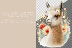 Llama clipart, Floral clipart, Animal clipart Product Image 3