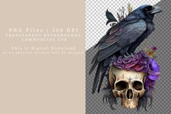Raven clipart, Gothic clipart, Halloween clipart, Product Image 7