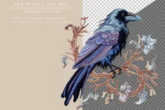 Embroidery raven clipart, Halloween clipart, Raven clipart Product Image 3
