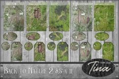 25pc Back To Nature Collection 2, Genuine Tree Bark Photos Product Image 1