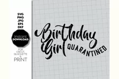 Birthday Princess Quarantined SVG, Birthday Shirt SVG Product Image 2