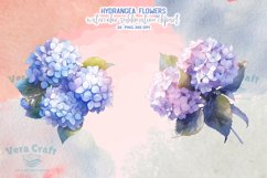 Hydrangea Flowers Watercolor Sublimation Clipart Product Image 11