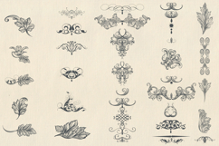 Bundle of vector vintage flourishes Product Image 10