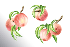 Ripe Peaches Product Image 12