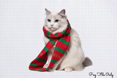 Christmas Cats Clipart PNG Product Image 1