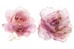 30 Watercolor Rose Clipart, Pink Floral PNG, Wedding Flowers Product Image 11