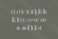 Castica Product Image 11